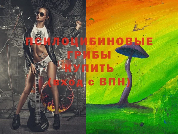 стафф Алексин