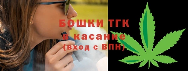 стафф Алексин