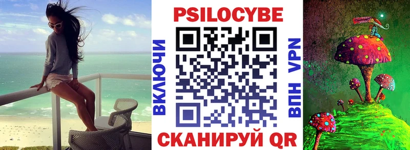 как найти закладки Бобров Псилоцибиновые грибы прущие грибы